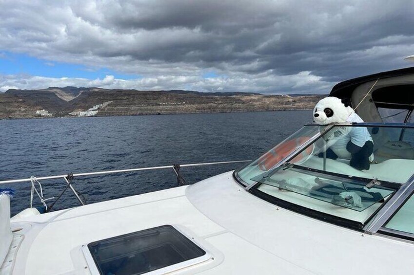 4-Hour Boat Tour along the South Coast of Gran Canaria