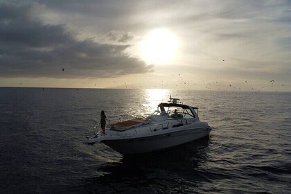4 Hour Boat Tour with Snorkelling from Puerto Rico and Mogan