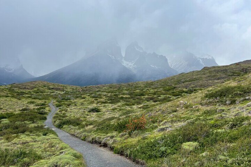 Full Day Private Tour to Torres del Paine