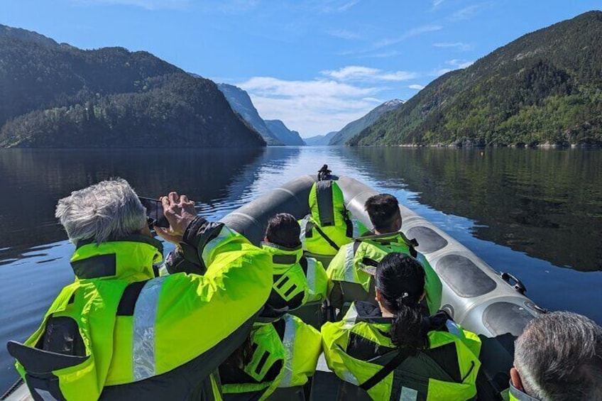 The Best Fjordcruise: Bergen fjord by Zodiac or Pontoon Boat