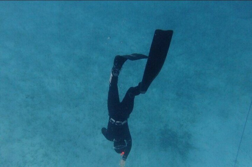 3 Day Freediving Activity in Cyprus with Instructor