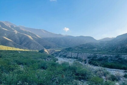 Fotturer og grilling i åsene på en familieranch