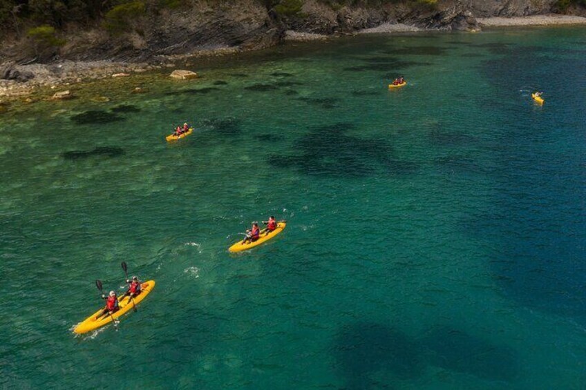 3 Hour Kayak Activity Along the Coasts of Punta Manara