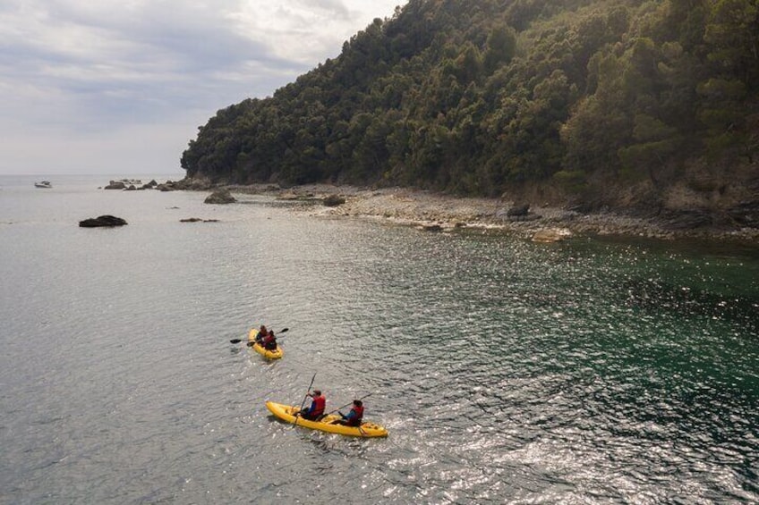 3 Hour Kayak Activity Along the Coasts of Punta Manara