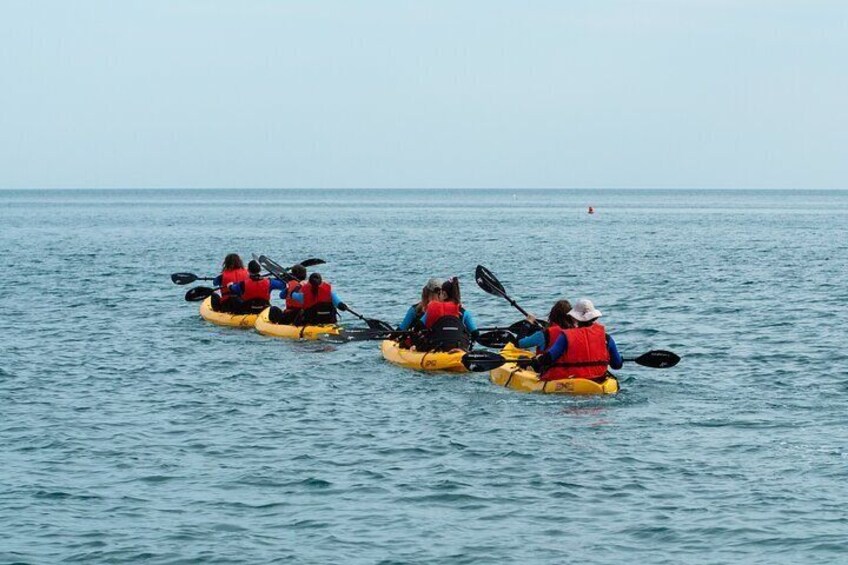 3 Hour Kayak Activity Along the Coasts of Punta Manara