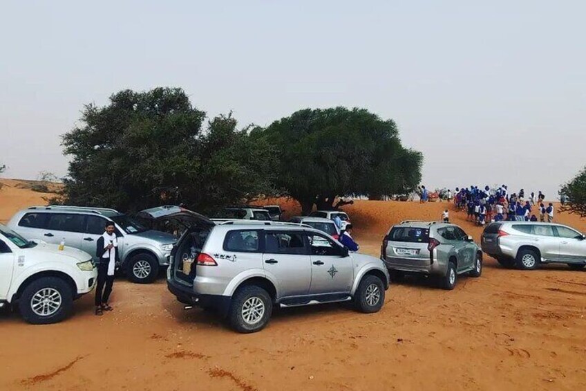 Day Tour to Small Desert in Agadir with Lunch