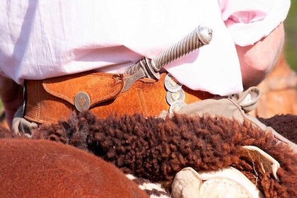 Traditional Gaucho Festival Full Day Tour from Buenos Aires
