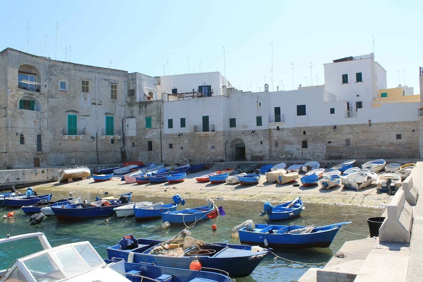 Picture 2 for Activity Walking Tour In The Wonderful Monopoli