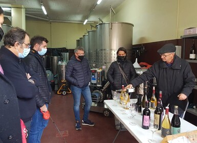 Salou: Cata de vinos del Priorat Visita a bodegas con recogida en el hotel