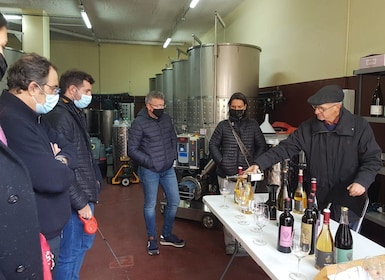Salou: rondleiding Priorat-wijnkelder met wijnproeverij