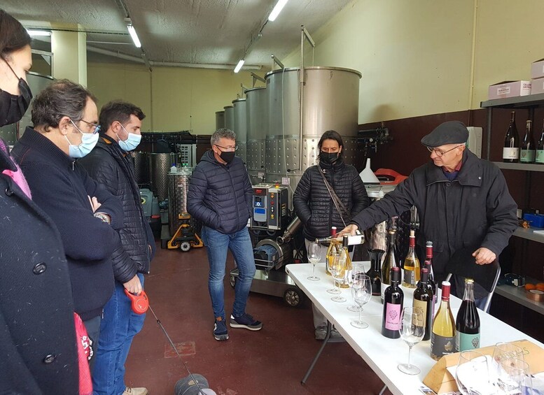 Salou: Priorat tasting Wine-Cellar Tour with hotel pickup