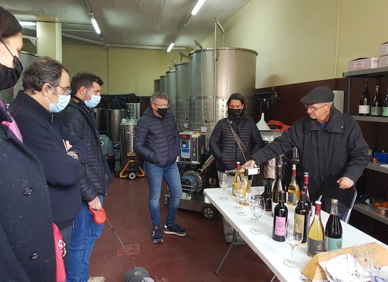Salou: Priorat tasting Wine-Cellar Tour with hotel pickup