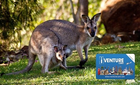 Ultimate Australia Pass