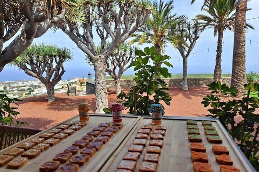Gran Canaria Easy North Half Day Tour
