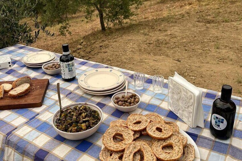 The snack in the countryside among the olive trees in Cosenza