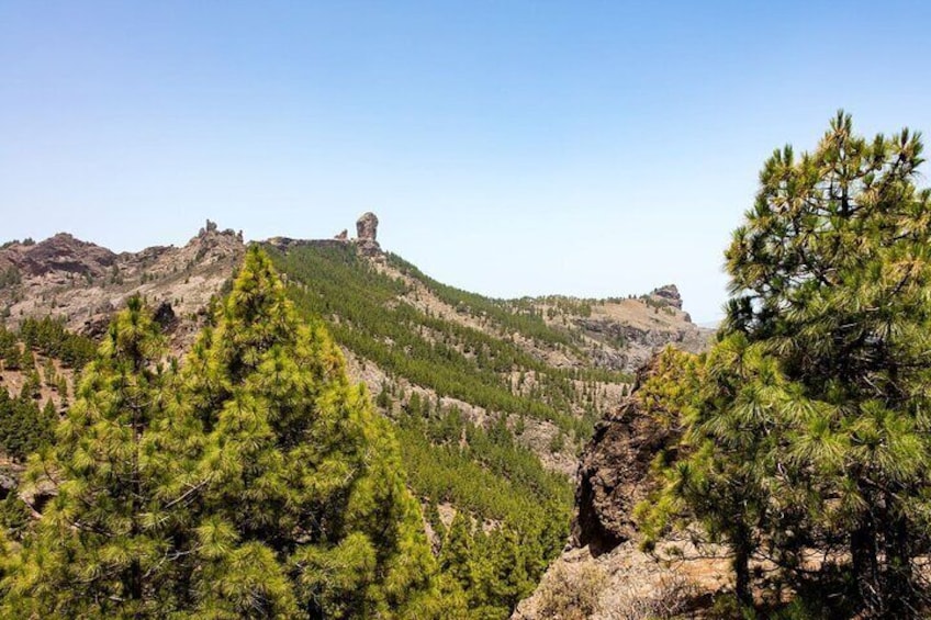 Best of Gran Canaria Full Day Tour with Lunch