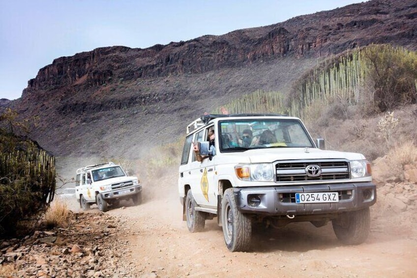 Fuerteventura 4x4 Tour and Lobos Island Catamaran Trip with Lunch