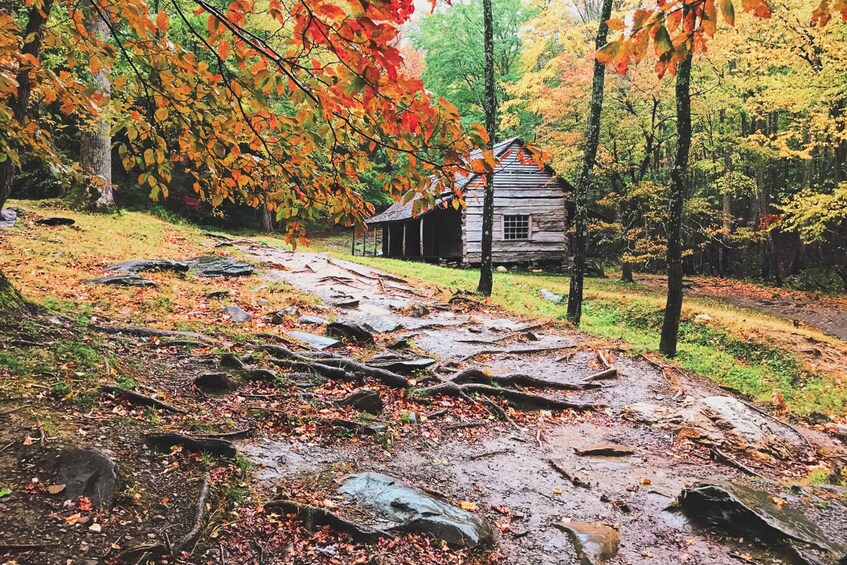 Pigeon Forge: Vittles & Views, Southern Food & Culture Tour
