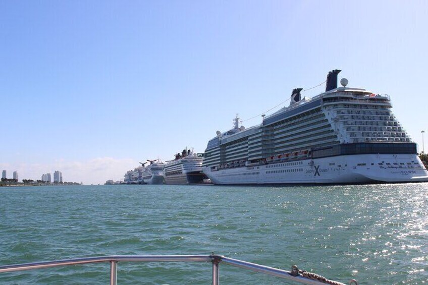 Always fun to see the cruise ships in port!