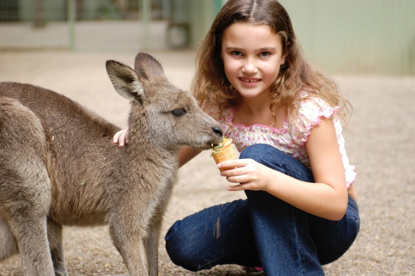 The Ultimate Sydney Pass - Unlimited