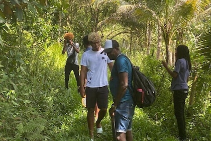 Wah Gwaan Safari Tour in Montego Bay
