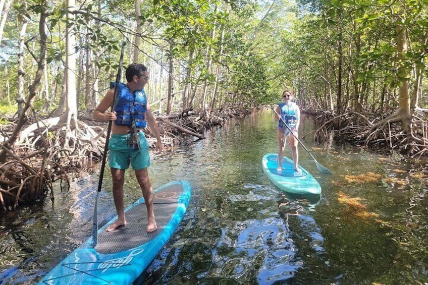 stand up paddle boarding