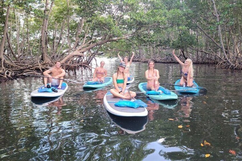 Stand Up Paddle Boarding and Kayaking at Mangrove Jungle