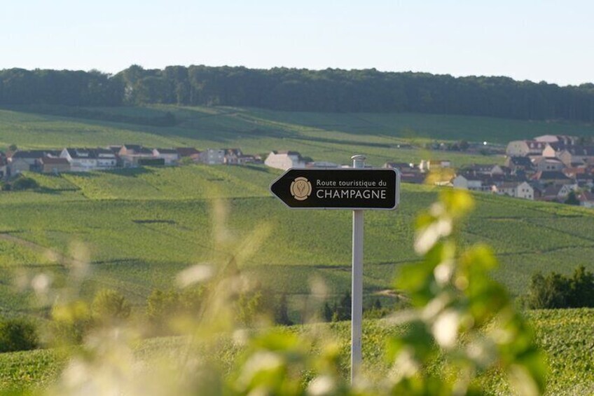 The Must-sees 3h30 from Epernay (Private Half day Champagne Tour)