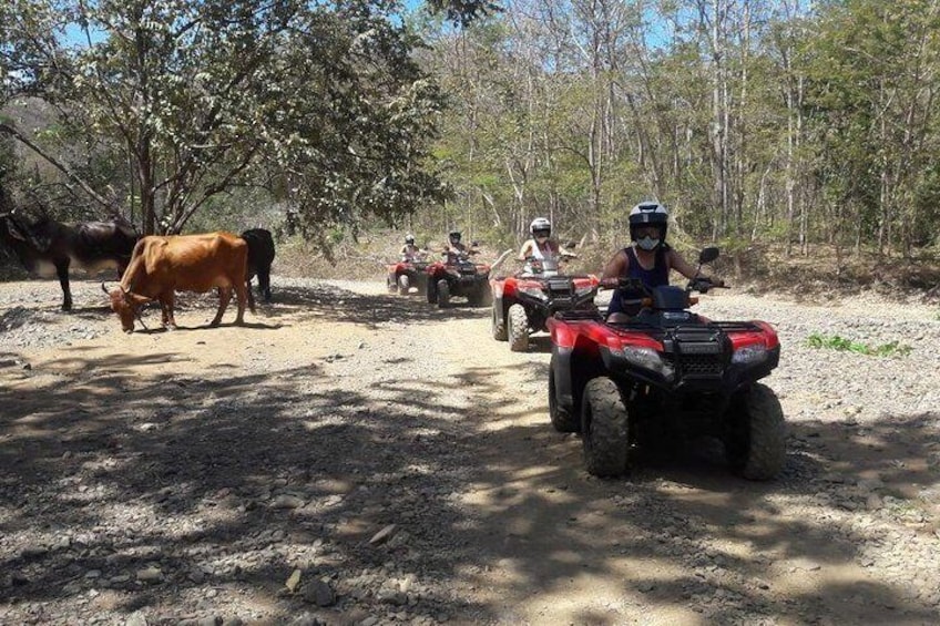 ATV Half day adventure from Riu and papagayo