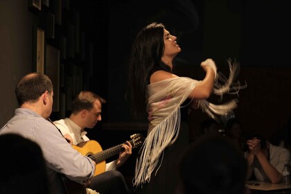 Oporto: entrada íntima para un concierto de fado con una copa de vino