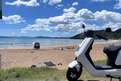 Electric Moped Rentals in Russell