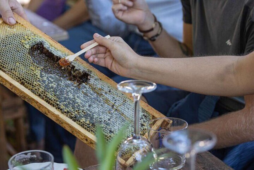 Private Activity Honey Shop Experience in Ventosa, La Rioja