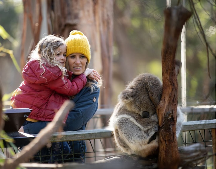 The Ultimate Melbourne Pass - Flexi