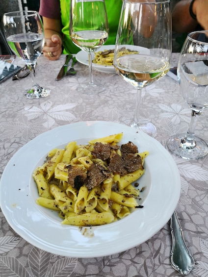 TOP TRUFFLES: Hunting & Cooking & Tasting in Istria, Slovenia