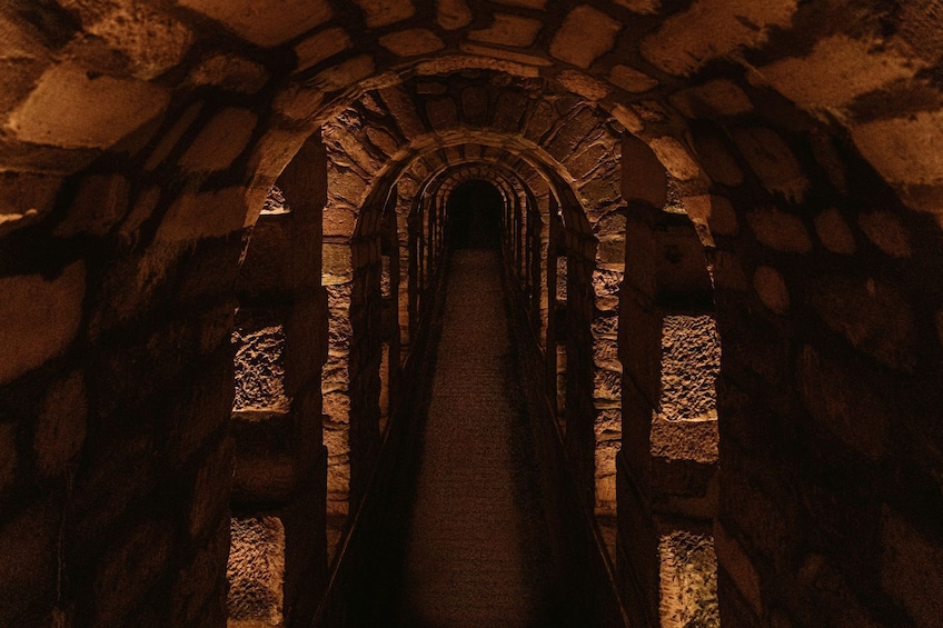 Catacombs of Paris Private Audio Tour on Mobile App (without a Ticket)