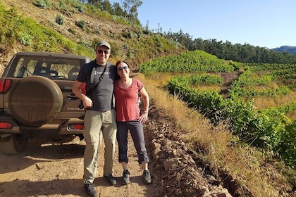 Private Half-Day Tour of Wine Fields in Portugal 