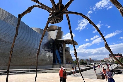 Full Day Private Sightseeing Tour in Bilbao