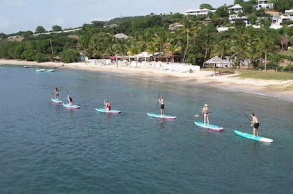 Galleon Beach Paddle Board and Snorkelling Gear Rental
