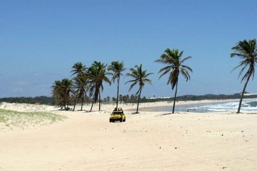 Full Day Beach Tour In Cumbuco