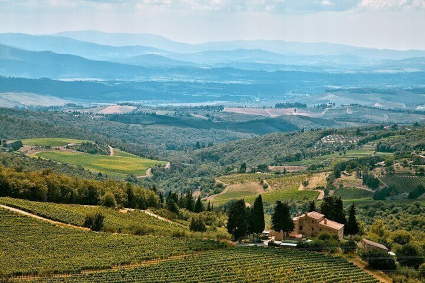 Discovering Chianti: Sunset Electric Vespa Tour with Dinner