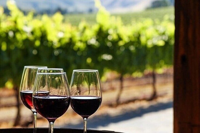 Discovering Chianti: Sunset Vespa Tour with Dinner