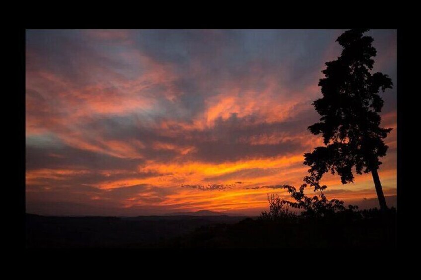 Discovering Chianti: Sunset Electric Vespa Tour with Dinner