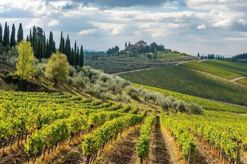 Guided Chianti E Bike Tour with Wine Tasting