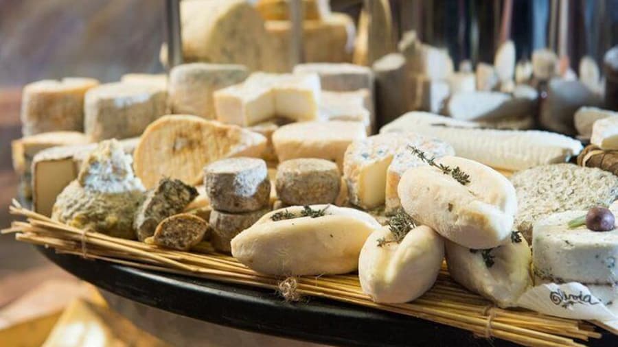 Bordeaux Old Town & Market Local Food with Wine Tastings Tour
