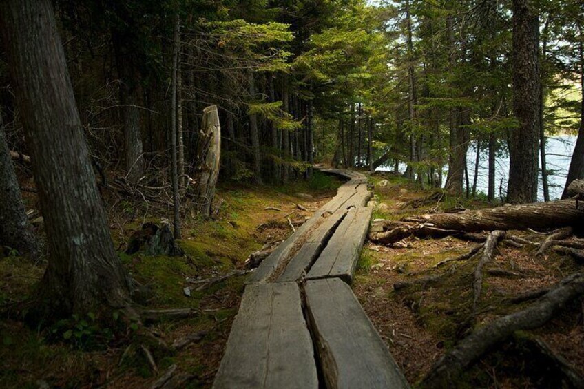 Full Day Small Group Tour of Acadia National Park