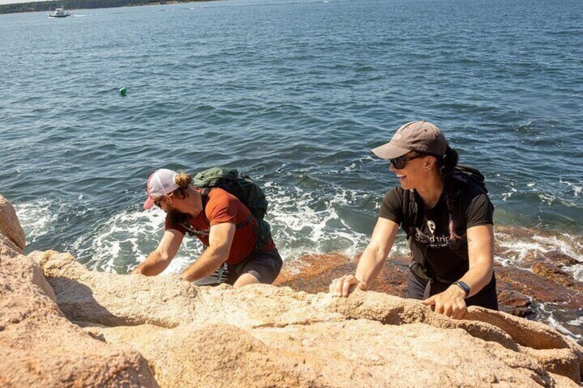 Acadia Full Day Small Group Tour