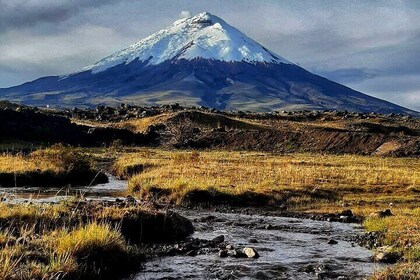 Private Cotopaxi Volcano Hiking With Horse Back Riding beginners