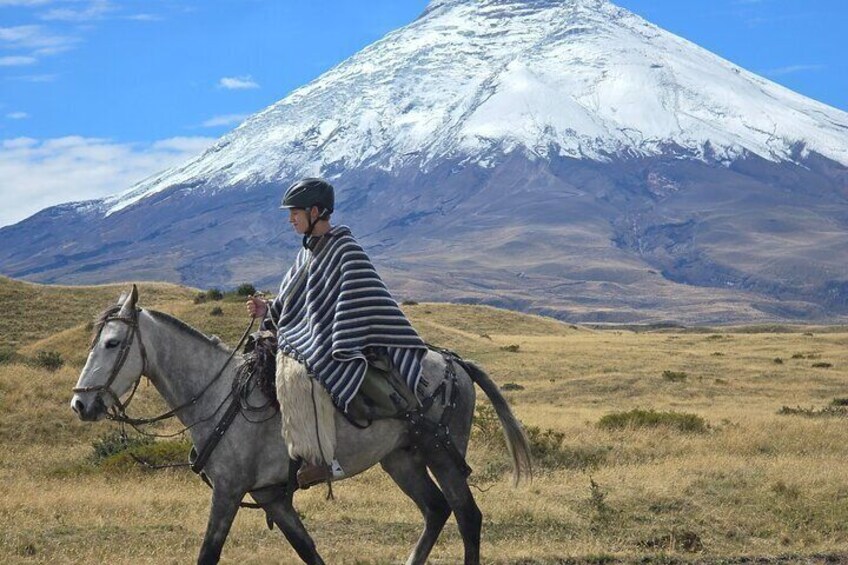 What to do in Quito Cotopaxi