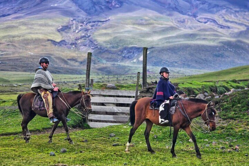 Horseback Riding for Beginners