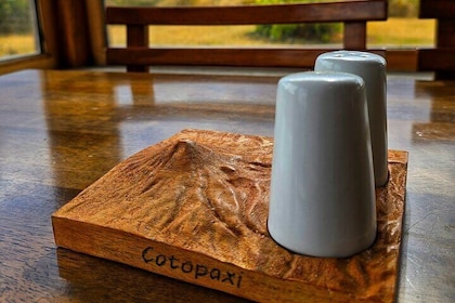 Full-Day Cotopaxi National Park Horseback Ride hike for Beginners